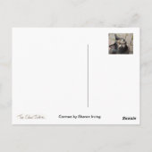 カルメン ポストカード (裏面)