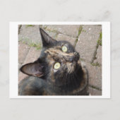 カルメン ポストカード (正面)