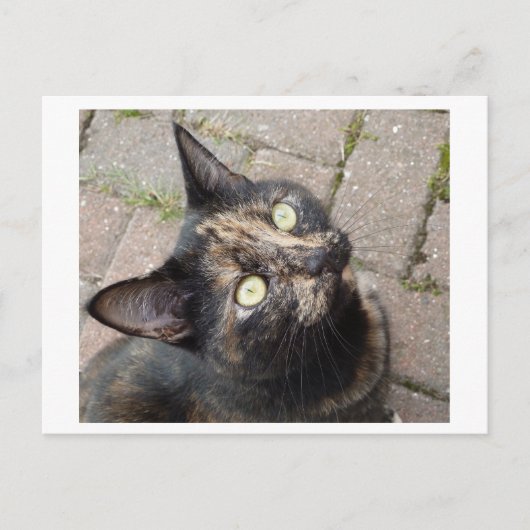 カルメン ポストカード (正面)