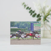 カルルンバを打つテーフィリア ポストカード (スタンド正面)