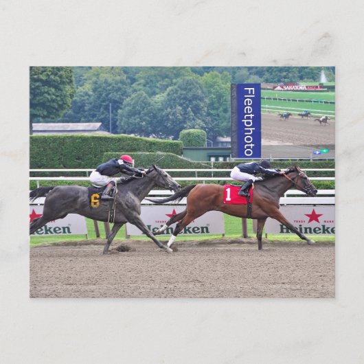 カルルンバを打つテーフィリア ポストカード (正面)