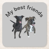 カルロスドッグズスクエア紙コースター スクエアペーパーコースター (正面)