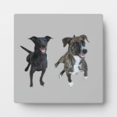 カルロス犬 フォトプラーク (正面)