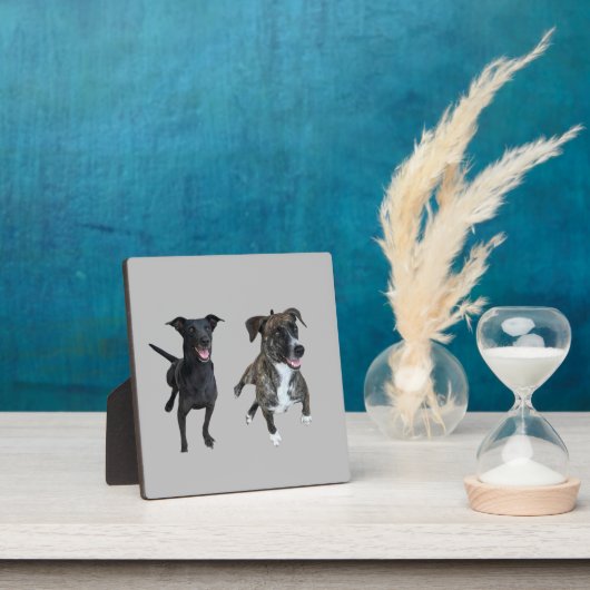 カルロス犬 フォトプラーク (インサイチュ)
