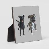 カルロス犬 フォトプラーク (正面)