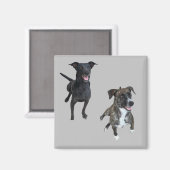 カルロス犬 マグネット (正面/裏面)