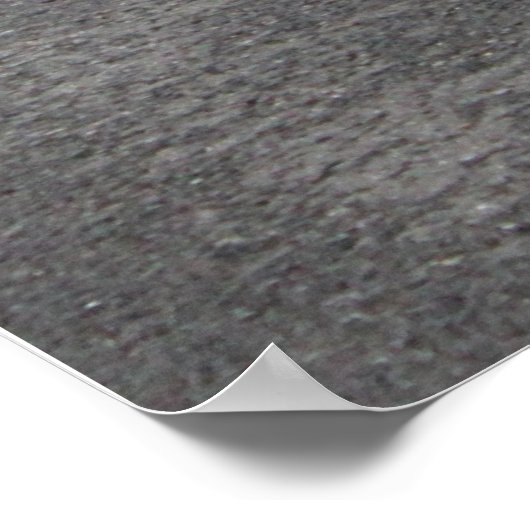 カルロス・サストレ ポスター (角)