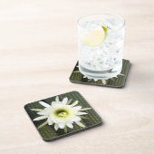 カルー地方のナイトサボテンの花の女王 コースター (右側)