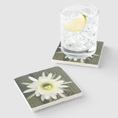 カルー地方のナイトサボテンの花の女王 ストーンコースター (横)