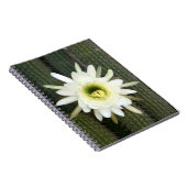 カルー地方のナイトサボテンの花の女王 ノートブック (右側)