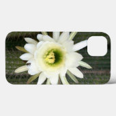 カルー地方のナイトサボテンの花の女王 Case-Mate iPhoneケース (裏面 (横))