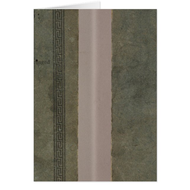 カレイの学歴アトラス (正面)