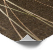 カレカレビーチ |パナタヒ島（西海岸） ポスター (角)