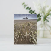 カレカレビーチ |パナタヒ島（西海岸） ポストカード (スタンド正面)