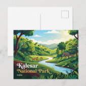 カレサル国立公園 インド ポストカード (正面/裏面)
