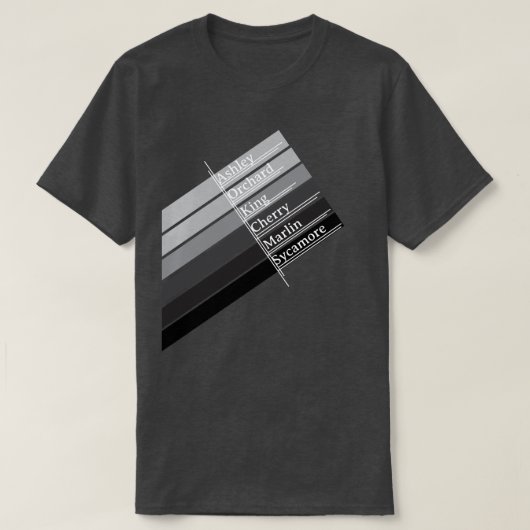 カレッジパーク グレースケール  Tシャツ (デザイン正面)