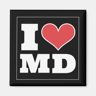 カレッジパーク(MD)フットボールウォッチパーティー冷蔵庫 マグネット