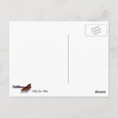 カレッジフィヨルドII美しいアラスカ写真 ポストカード (裏面)