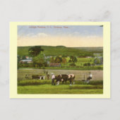カレッジ・メドウ、アムハースト マサチューセッツ州 1912 ヴィンテージ ポストカード (正面)