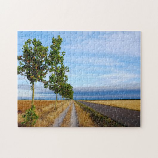 カレテラハシアレリエゴ ジグソーパズル (横)