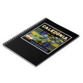 カレドニアオレンジラベル ノートブック (左側)