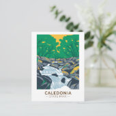 カレドニア州パークペンシルバニアヴィンテージ ポストカード (スタンド正面)