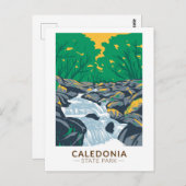 カレドニア州パークペンシルバニアヴィンテージ ポストカード (正面/裏面)