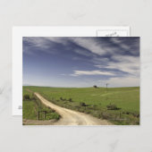 カレドン州の小麦畑の間を縫うように走る農道 ポストカード (正面/裏面)