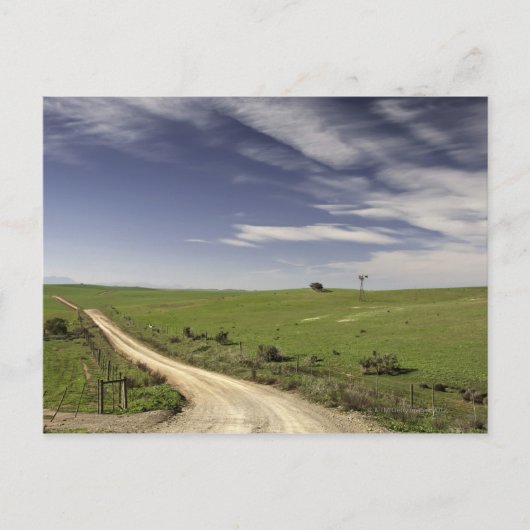 カレドン州の小麦畑の間を縫うように走る農道 ポストカード (正面)