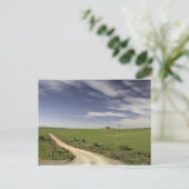 カレドン州の小麦畑の間を縫うように走る農道 ポストカード (スタンド正面)