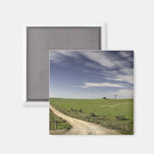 カレドン州の小麦畑の間を縫うように走る農道 マグネット (正面/裏面)