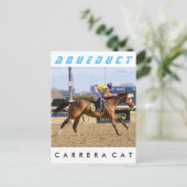 カレラキャット ポストカード (スタンド正面)
