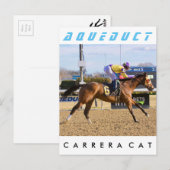 カレラキャット ポストカード (正面/裏面)