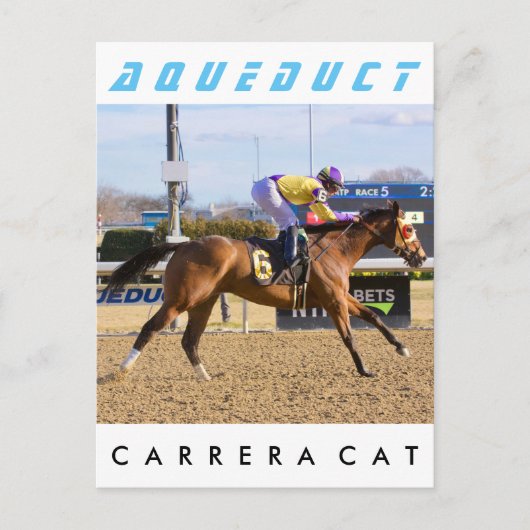 カレラキャット ポストカード (正面)