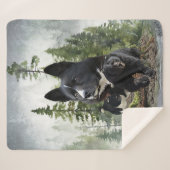 カレリアンベアードッグ シェルパブランケット (正面(横))