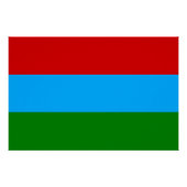 カレリア共和国旗 ポスター (正面)