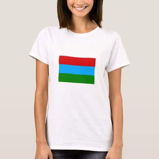 カレリア共和国旗 Tシャツ (正面)