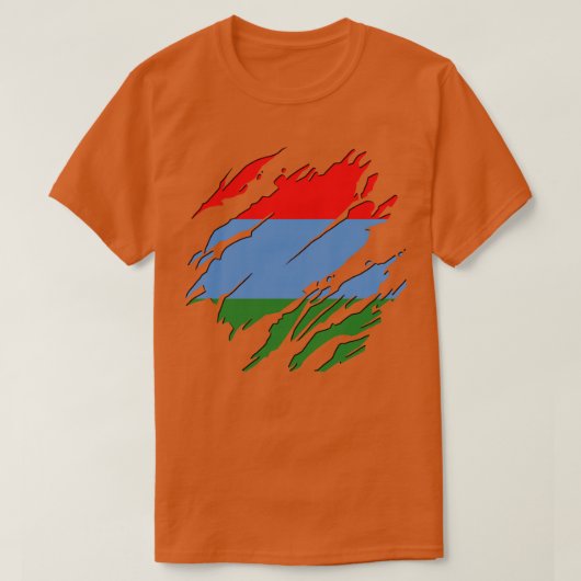 カレリア常時 Tシャツ (デザイン正面)