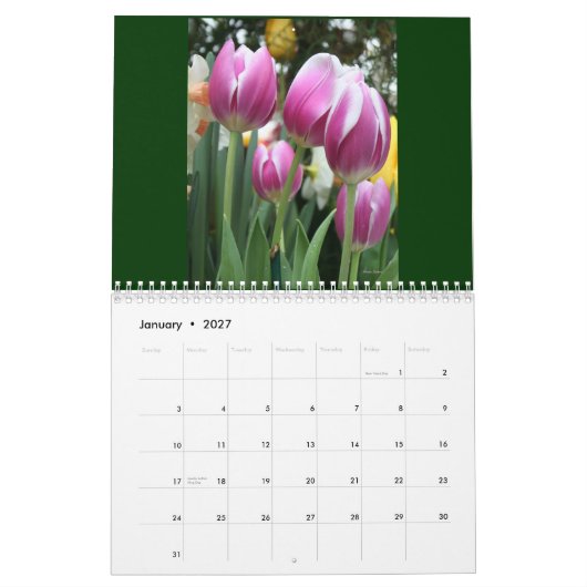 カレンのカレンダー!  2011年 カレンダー (1月 2027)