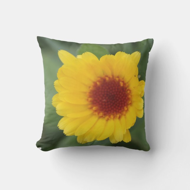 カレンジュラ屋外装飾用クッション クッション (正面)