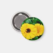 カレンジュラOfficinalis磁石 マグネット (正面/裏面)