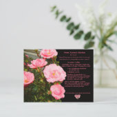 カレンズチョコレートトリュフレシピ葉書 ポストカード (スタンド正面)