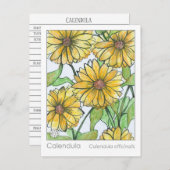 カレンダマテリアメディカハーブ勉強カード ポストカード (正面/裏面)