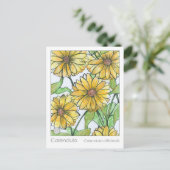 カレンダマテリアメディカハーブ勉強カード ポストカード (スタンド正面)