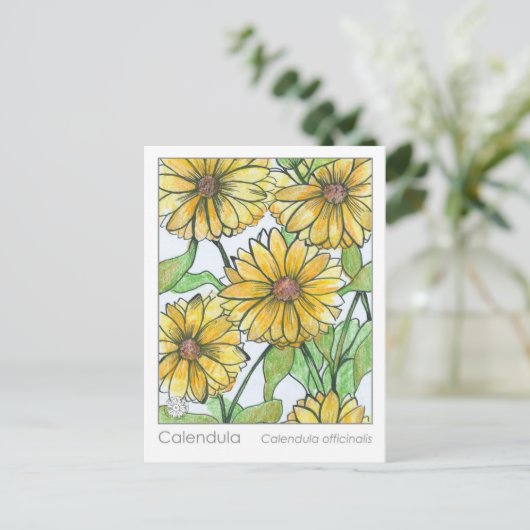 カレンダマテリアメディカハーブ勉強カード ポストカード (スタンド正面)