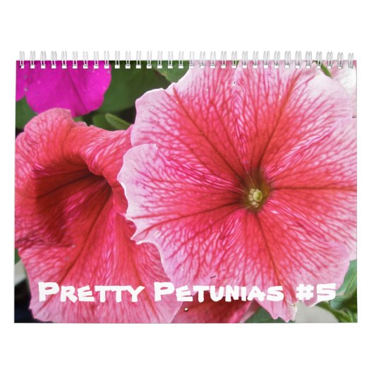 カレンダーかわいらし- Petunias #5 カレンダー (カバー)
