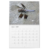 カレンダーのまわりに – 池 カレンダー (3月 2027)