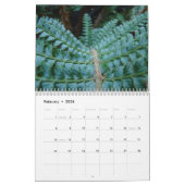 カレンダーのシダのカレンダーのレッドウッドの森林シダ カレンダー (2月 2026)