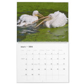 カレンダーのペリカン2023 カレンダー (3月 2026)