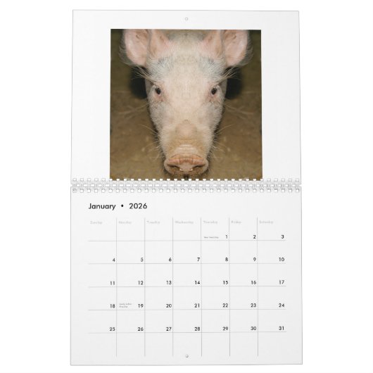 カレンダーの広告宣伝 カレンダー (1月 2026)